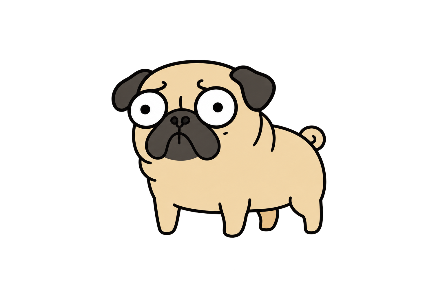 A fat pug